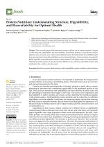 Protein Nutrition: Understanding Structure, Digestibility, and Bioavailability for Optimal Health