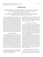 Global Challenge of Multidrug-Resistant Acinetobacter baumannii