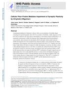 Cellular Prion Protein Mediates Impairment of Synaptic Plasticity by Amyloid-β Oligomers