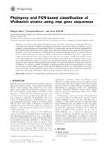 Phylogeny and PCR-based classification of Wolbachia strains using wsp gene sequences
