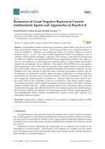 Resistance of Gram-Negative Bacteria to Current Antibacterial Agents and Approaches to Resolve It