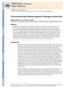The Protective Role of Melanin Against UV Damage in Human Skin