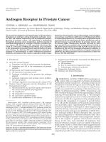 Androgen Receptor in Prostate Cancer