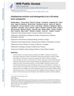 Glioblastoma evolution and heterogeneity from a 3D whole-tumor perspective