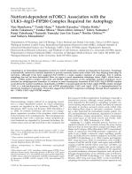 Nutrient-dependent mTORC1 Association with the ULK1–Atg13–FIP200 Complex Required for Autophagy