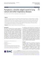 Pyroptosis: a double-edged sword in lung cancer and other respiratory diseases