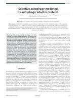 Selective autophagy mediated by autophagic adapter proteins
