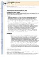 Hepatocellular carcinoma: a global view