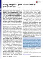 Scaling laws predict global microbial diversity