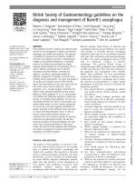 British Society of Gastroenterology guidelines on the diagnosis and management of Barrett’s oesophagus