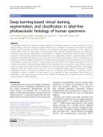 Deep learning-based virtual staining, segmentation, and classification in label-free photoacoustic histology of human specimens