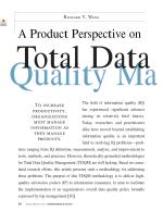 A Product Perspective on Total Data Quality Management