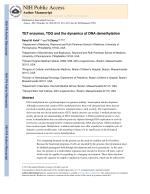 TET enzymes, TDG and the dynamics of DNA demethylation