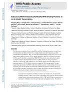 Induced ncRNAs Allosterically Modify RNA Binding Proteins in cis to Inhibit Transcription