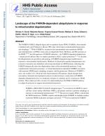 Landscape of the PARKIN-dependent ubiquitylome in response to mitochondrial depolarization