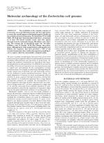 Molecular archaeology of the Escherichia coli genome