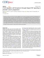 CYLD regulates cell ferroptosis through Hippo/YAP signaling in prostate cancer progression