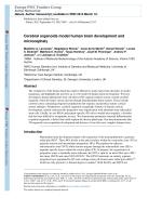 Cerebral organoids model human brain development and microcephaly