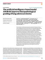 The artificial intelligence-based model ANORAK improves histopathological grading of lung adenocarcinoma