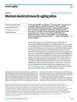 Human skeletal muscle aging atlas