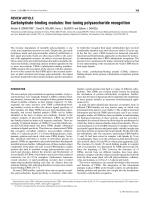 Carbohydrate-binding modules: fine-tuning polysaccharide recognition
