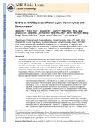 Sirt5 Is an NAD-Dependent Protein Lysine Demalonylase and Desuccinylase