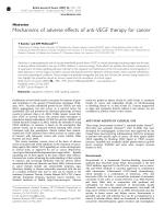 Mechanisms of adverse effects of anti-VEGF therapy for cancer