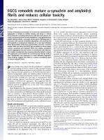 EGCG remodels mature α-synuclein and amyloid-β fibrils and reduces cellular toxicity