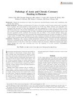 Pathology of Acute and Chronic Coronary Stenting in Humans