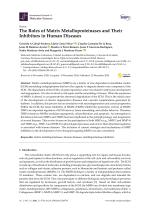 The Roles of Matrix Metalloproteinases and Their Inhibitors in Human Diseases