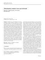 Mitochondria, oxidative stress and cell death