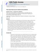 The neocortical circuit: themes and variations