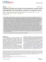 Integrating spatial and single-cell transcriptomics reveals tumor heterogeneity and intercellular networks in colorectal cancer