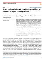 Potential and electric double-layer effect in electrocatalytic urea synthesis