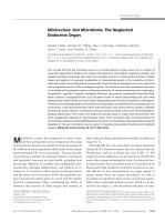 Minireview: Gut Microbiota: The Neglected Endocrine Organ
