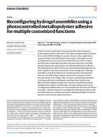 Reconfiguring hydrogel assemblies using a photocontrolled metallopolymer adhesive for multiple customized functions