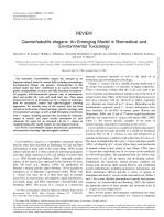 Caenorhabditis elegans: An Emerging Model in Biomedical and Environmental Toxicology