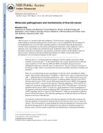 Molecular pathogenesis and mechanisms of thyroid cancer