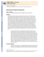 Mechanisms of Hepatic Fibrogenesis
