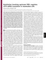Reinitiation involving upstream ORFs regulates ATF4 mRNA translation in mammalian cells