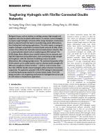 Toughening Hydrogels with Fibrillar Connected Double Networks