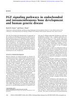 FGF signaling pathways in endochondral and intramembranous bone development and human genetic disease