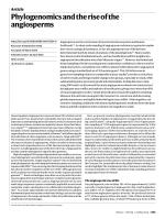 Phylogenomics and the rise of the angiosperms