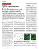 SARS-CoV-2 productively infects human gut enterocytes