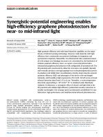Synergistic-potential engineering enables high-efficiency graphene photodetectors for near- to mid-infrared light