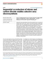 Sequential co-reduction of nitrate and carbon dioxide enables selective urea electrosynthesis