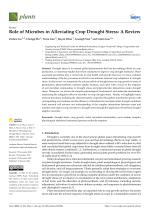 Role of Microbes in Alleviating Crop Drought Stress: A Review