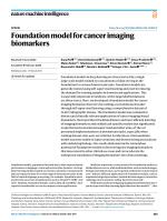 Foundation model for cancer imaging biomarkers