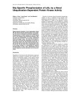 Site-Specific Phosphorylation of IkBα by a Novel Ubiquitination-Dependent Protein Kinase Activity