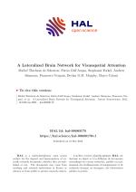 A Lateralized Brain Network for Visuospatial Attention